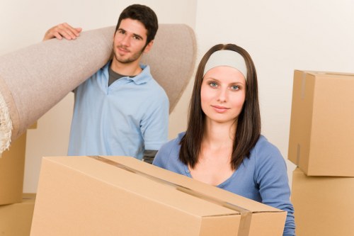 Risk assessment and safe moving practices for a removal job